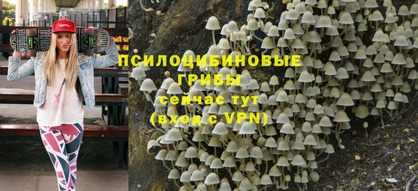 тгк Белокуриха
